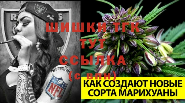 метадон Няндома