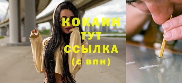 метадон Няндома