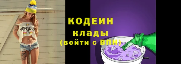 метадон Няндома