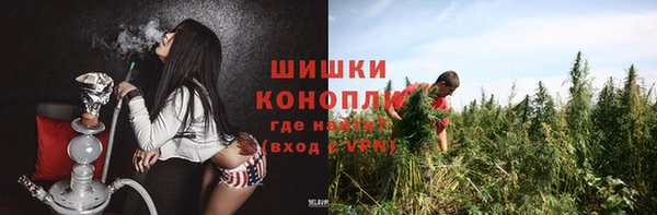 метадон Няндома