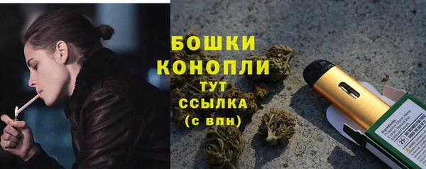 метадон Няндома