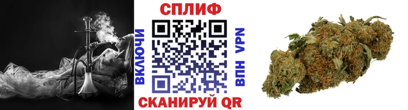 МАРИХУАНА Amnesia  Петров Вал 